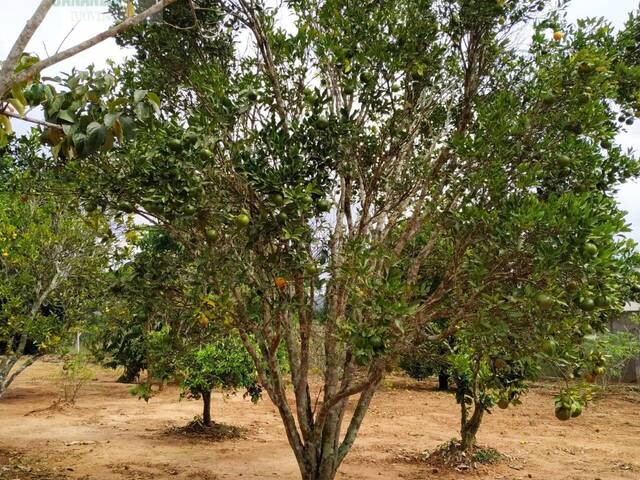 #35 - Chácara para Venda em Pilar do Sul - SP