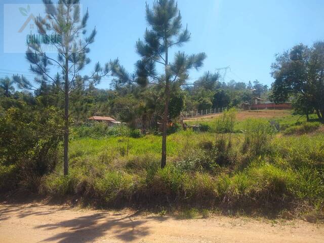 Área para Venda em Pilar do Sul - 5