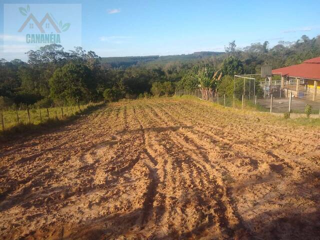 #41 - Área para Venda em Pilar do Sul - SP - 2