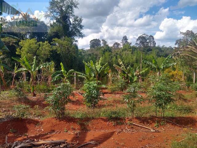 #44 - Chácara para Venda em Pilar do Sul - SP
