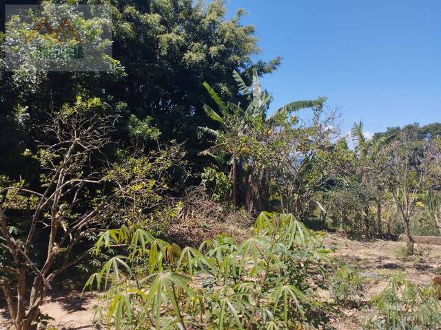 Chácara para Venda em Pilar do Sul - 5