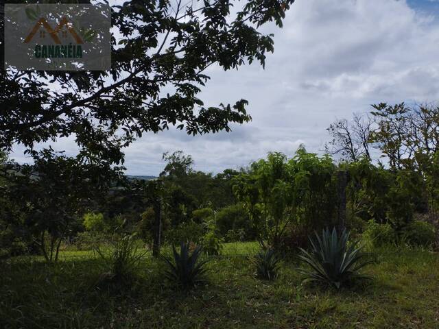 #60 - Área para Venda em Pilar do Sul - SP - 3