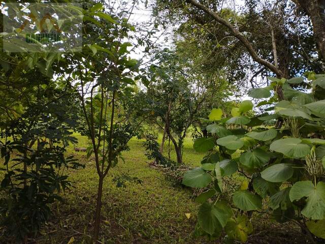 Área para Venda em Pilar do Sul - 5