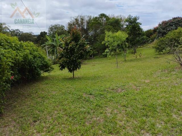 #60 - Área para Venda em Pilar do Sul - SP