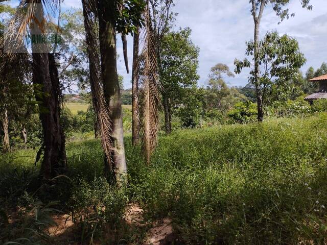 Venda em jardim Cananéia - Pilar do Sul