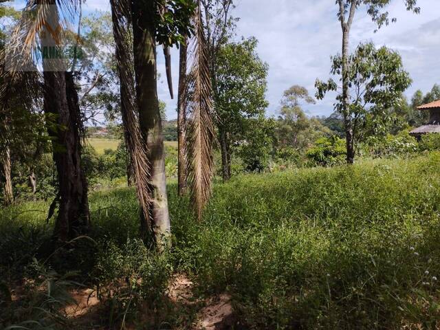 #61 - Área para Venda em Pilar do Sul - SP