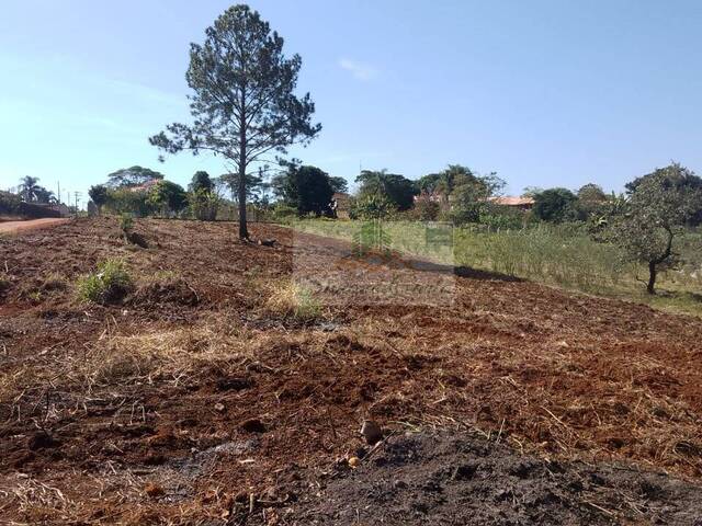 #112 - Área para Venda em Pilar do Sul - SP - 3