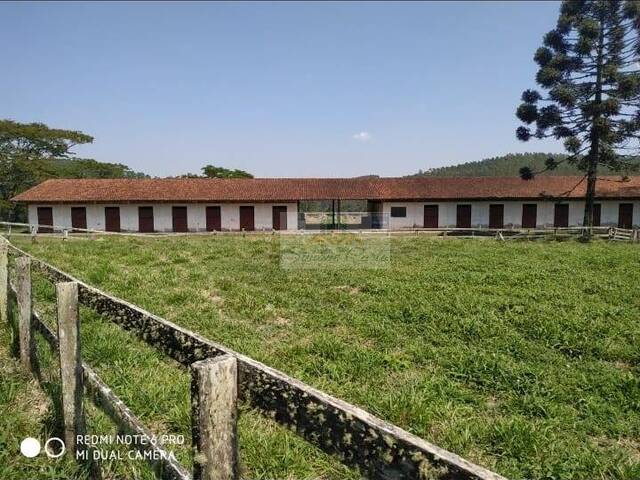 #119 - Chácara para Venda em Piedade - SP - 1