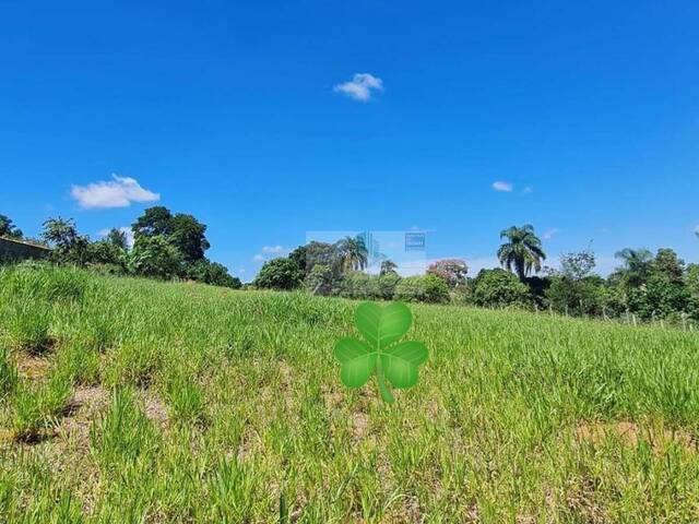 #121 - Área para Venda em Pilar do Sul - SP - 1