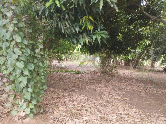 #128 - Chácara para Venda em Pilar do Sul - SP - 3
