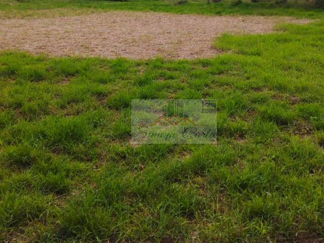 Área para Venda em Pilar do Sul - 4