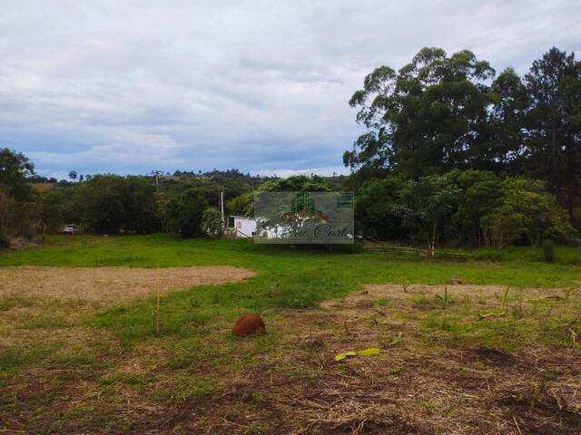 Área para Venda em Pilar do Sul - 5