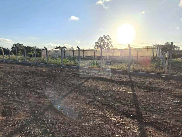 #141 - Área para Venda em Pilar do Sul - SP - 2