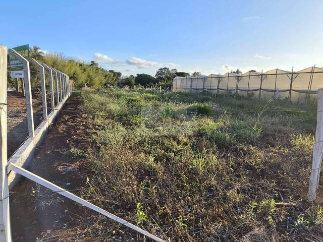 Área para Venda em Pilar do Sul - 5