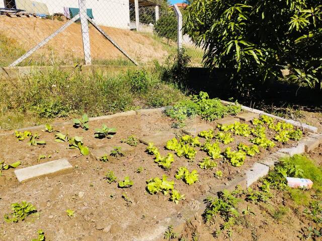 #159 - Chácara para Venda em Pilar do Sul - SP - 3