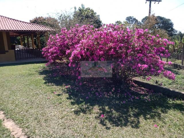 Chácara para Venda em Pilar do Sul - 5