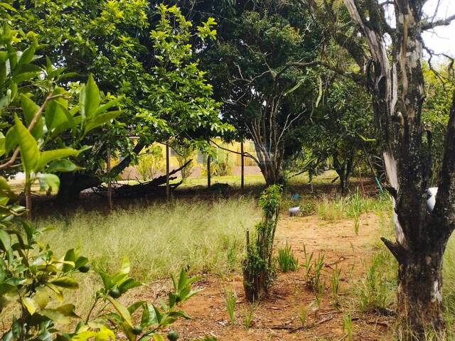 #189 - Chácara para Venda em Pilar do Sul - SP - 2