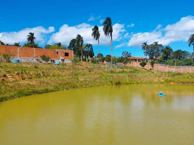#190 - Chácara para Venda em Pilar do Sul - SP - 1