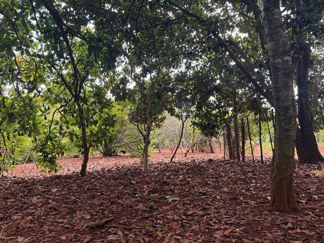 #204 - Área para Venda em Pilar do Sul - SP