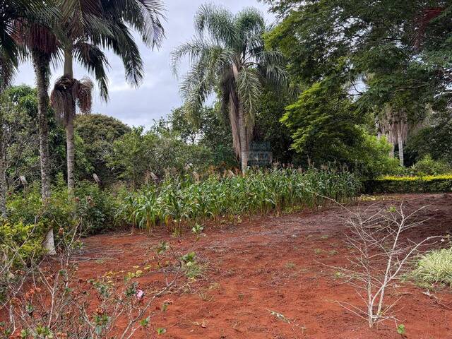 #204 - Área para Venda em Pilar do Sul - SP - 2