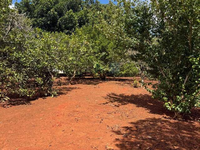 #204 - Área para Venda em Pilar do Sul - SP - 3