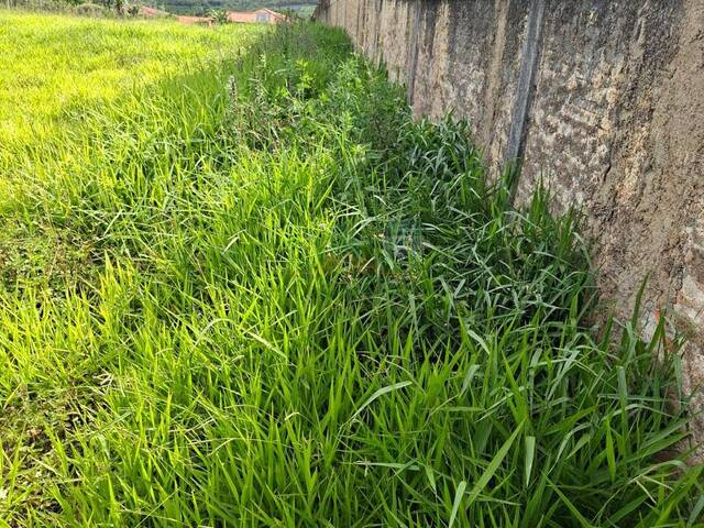 Área para Venda em Pilar do Sul - 2