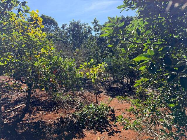 Área para Venda em Pilar do Sul - 2
