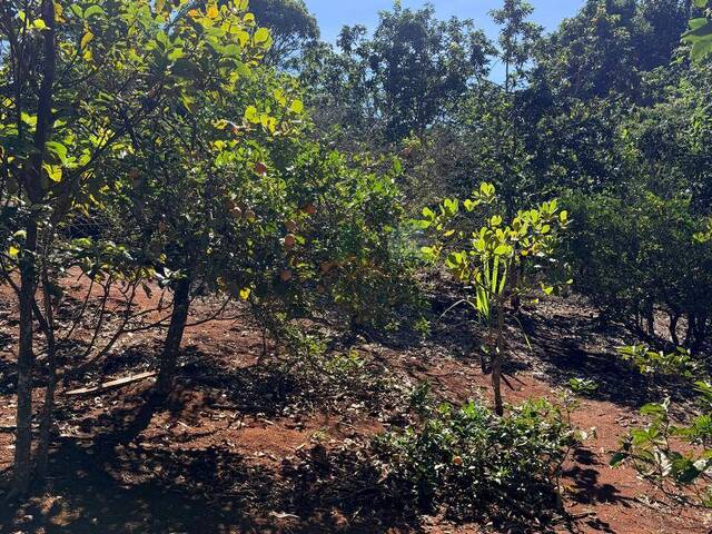Área para Venda em Pilar do Sul - 4